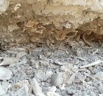 daşnaklar lənkəranda kicik