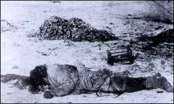 A Turkish women named Pakize who was raped and then killed by the Armenians in Erzincan.